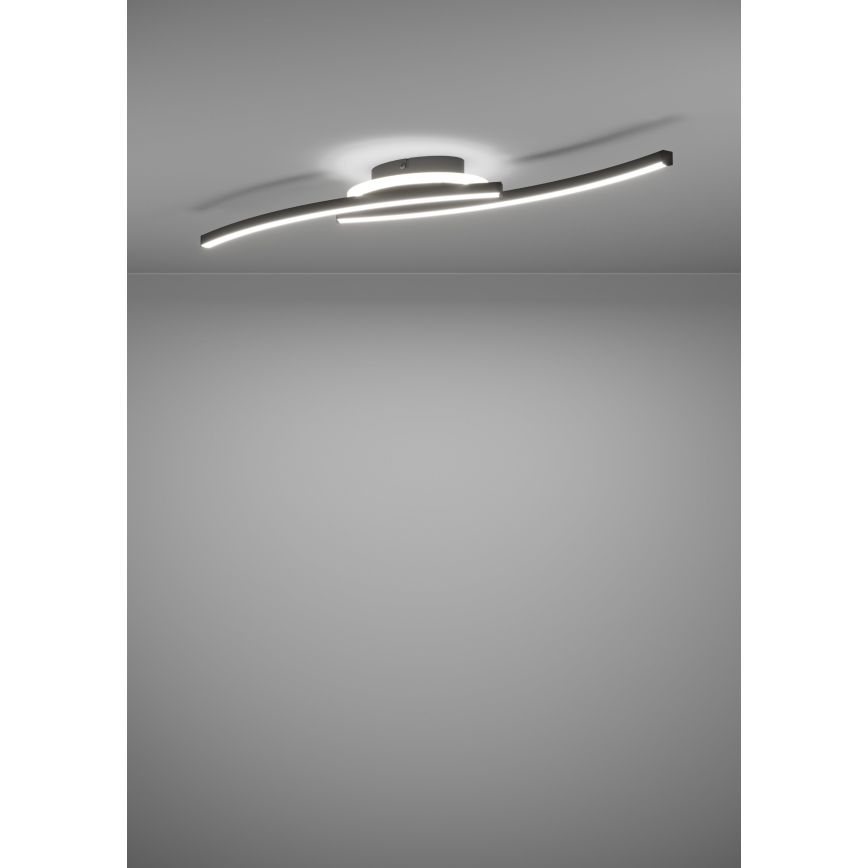 Eglo - LED Ceiling light LED/12W/230V 4000K black