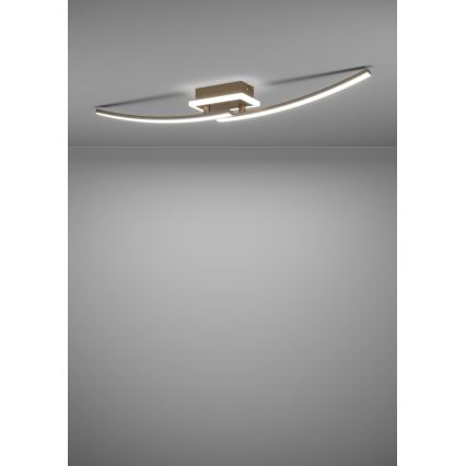 Eglo - LED Ceiling light LED/12W/230V 4000K copper