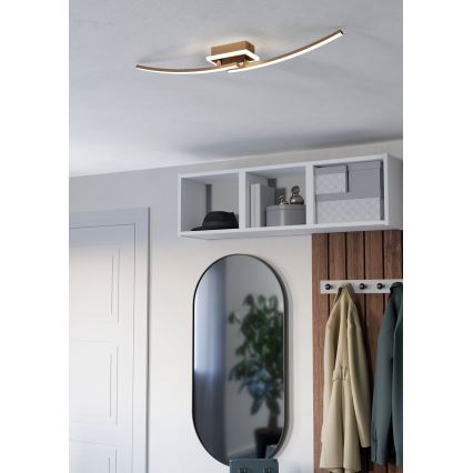 Eglo - LED Ceiling light LED/12W/230V 4000K copper