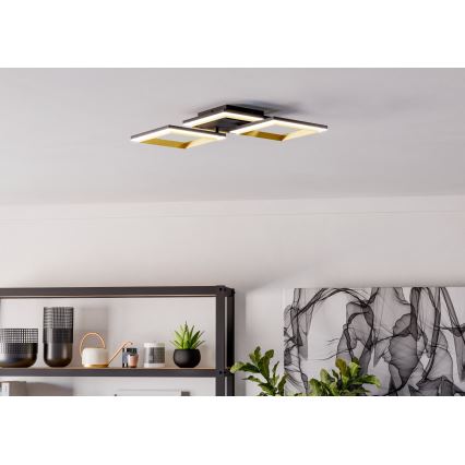 Eglo - LED Dimmable ceiling light LED/20W/230V 4000K black/gold