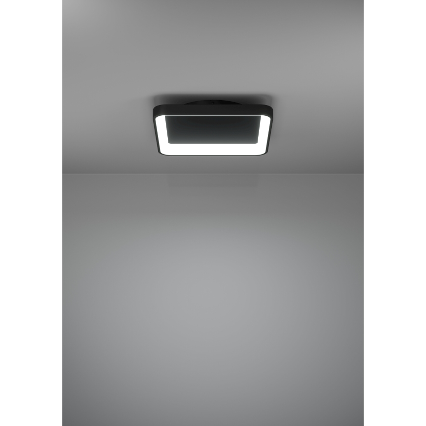 Eglo - LED Dimmable ceiling light LED/12W/230V 2700-6500K black + remote control