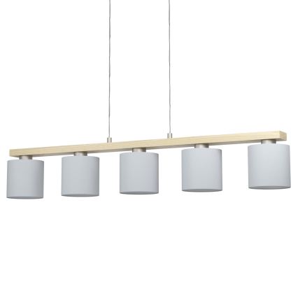 Eglo - Cable Pendant Light 5xE27/28W/230V