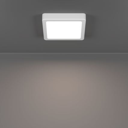 Eglo - LED Ceiling Light, 7 W, 230 V, 2700/4000/6500 K, 15 × 15 cm, White