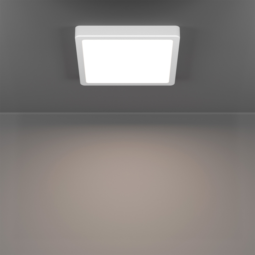 Eglo - LED RGBW Dimmable Bathroom Ceiling Light LED/10.5W/230V 2700-6500K 22x22 cm IP44 White