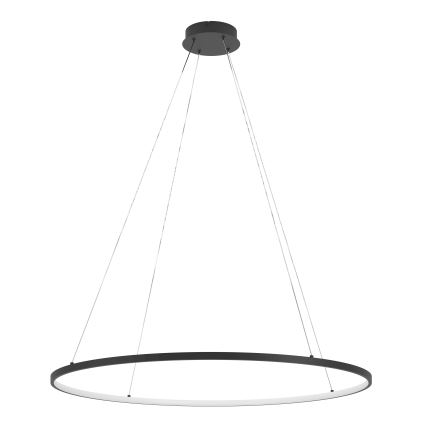 Eglo - LED Dimmable chandelier on a string LED/40W/230V 2700-6500K black + remote control