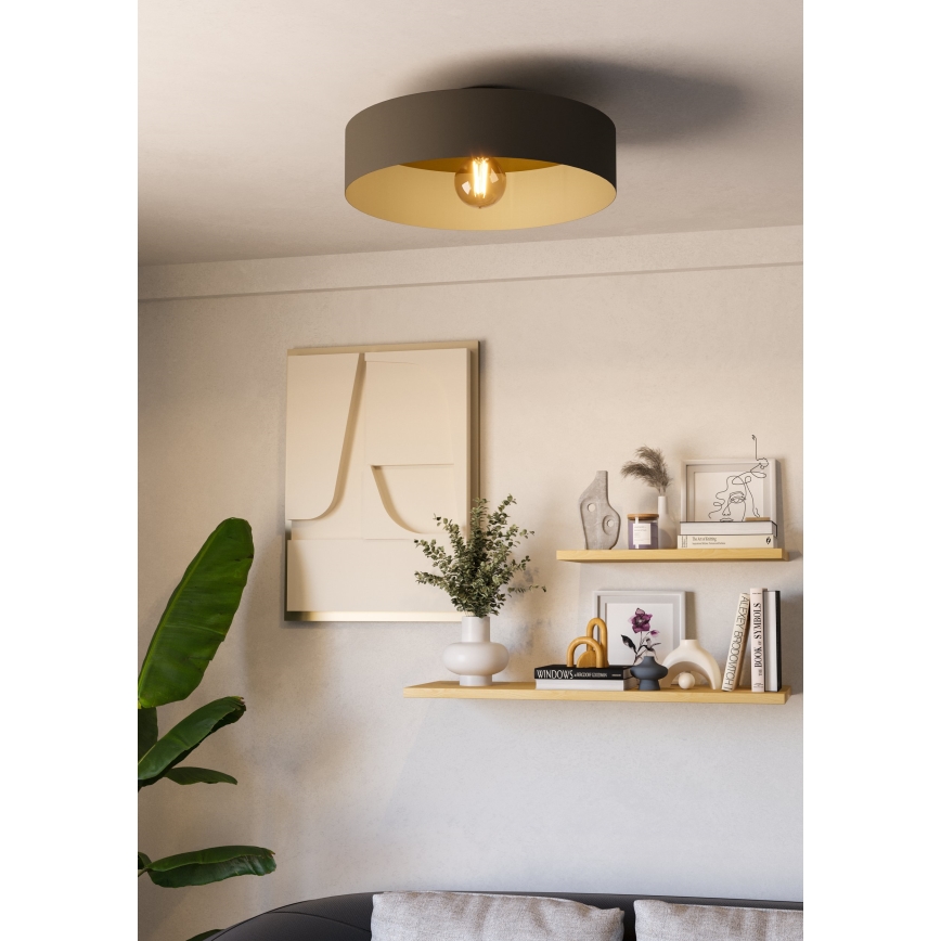 Eglo - Ceiling light 1xE27/40W/230V grey