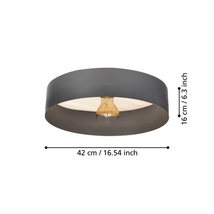 Eglo - Ceiling light 1xE27/40W/230V grey