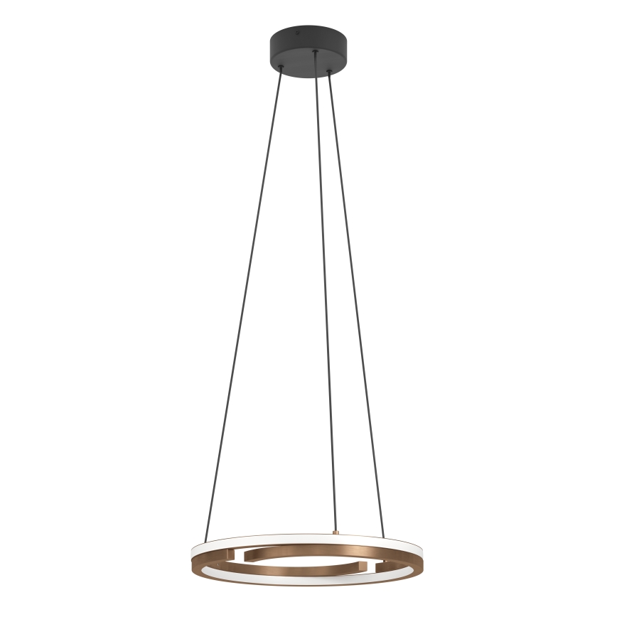 Eglo - Dimmable LED pendant on cable 2xLED/20W/230V 2700-6500K diam. 48 cm bronze + remote control