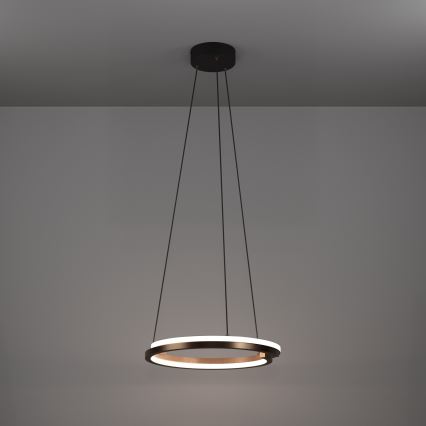 Eglo - Dimmable LED pendant on cable 2xLED/20W/230V 2700-6500K diam. 48 cm bronze + remote control