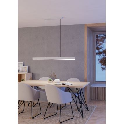 Eglo - LED RGBW Dimmable Pendant Light on Cable LED/19W/230V 2700-6500K Grey