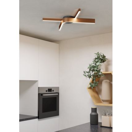 Eglo - LED RGBW Dimmable Ceiling Light 2xLED/18W/230V Copper/Black