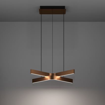 Eglo - LED RGBW Dimmable Cable Pendant 2xLED/18W/230V copper/black