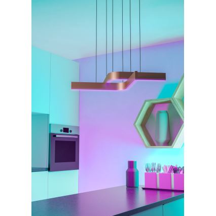 Eglo - LED RGBW Dimmable Pendant Light on Cable 2xLED/18W/230V Copper/Black