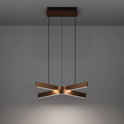 Eglo - LED RGBW Dimmable Pendant Light on Cable 2xLED/18W/230V Copper/Black