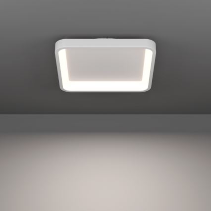 Eglo - RGBW LED Dimmable Ceiling Light LED/20W/230V 2700-6500K 35x35 cm White