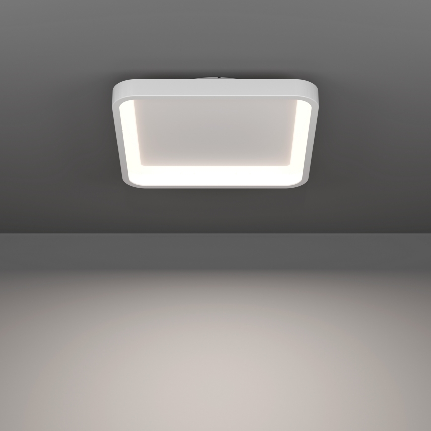 Eglo - RGBW LED Dimmable Ceiling Light LED/20W/230V 2700-6500K 35x35 cm White