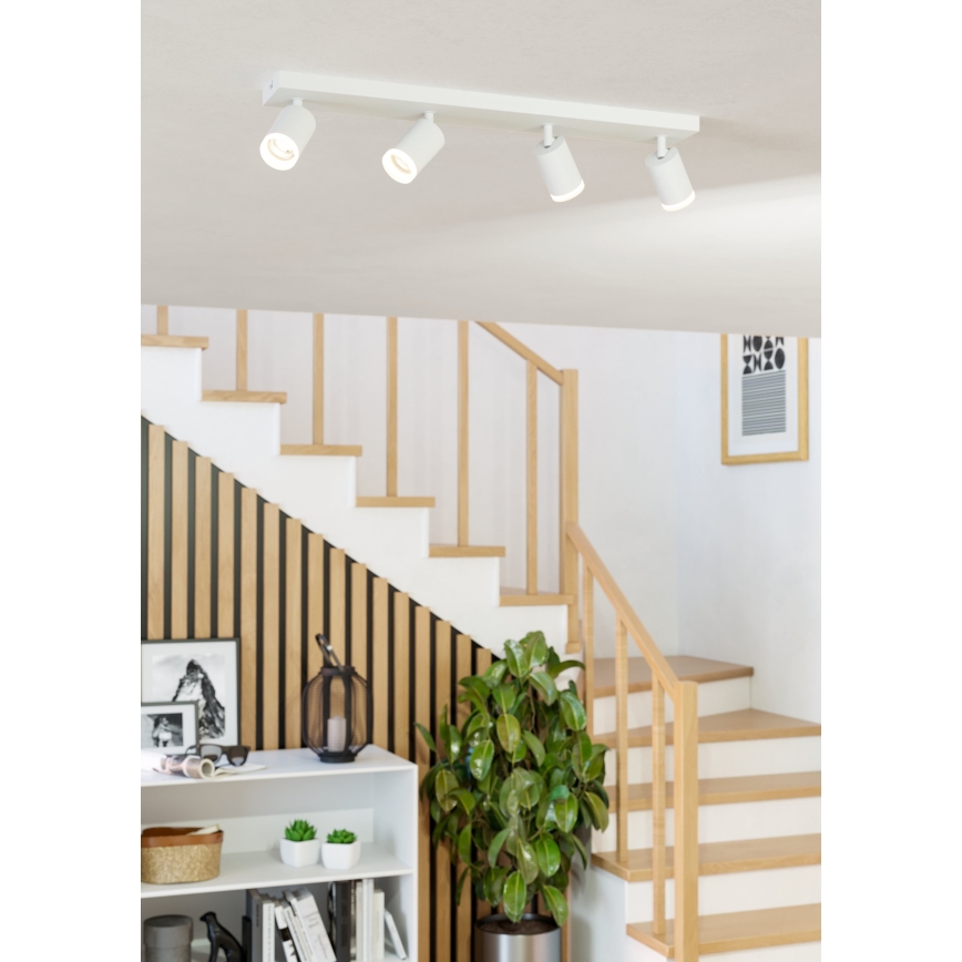 Eglo - LED RGBW Dimmable Spotlight 4xLED/3.7W/230V 2700-6500K White