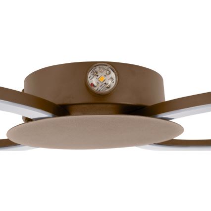 Eglo - LED Wall light LED/20W/230V + LED/0,91W beige