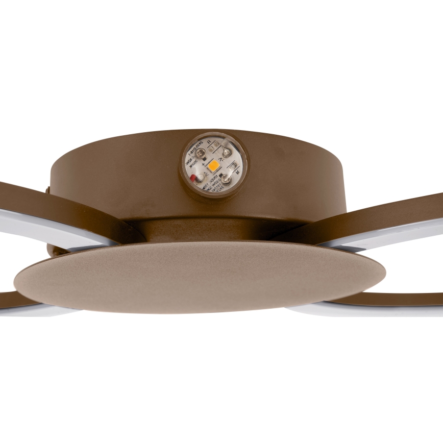 Eglo - LED Wall light LED/20W/230V + LED/0,91W beige