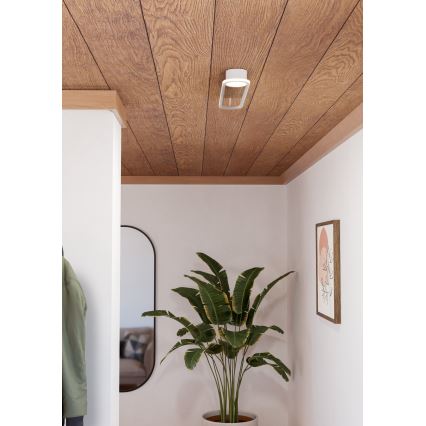 Eglo - LED Ceiling Light LED/24W/230V 2700/4000/6500K white