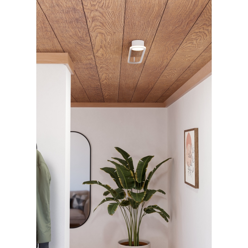 Eglo - LED Ceiling Light LED/24W/230V 2700/4000/6500K white