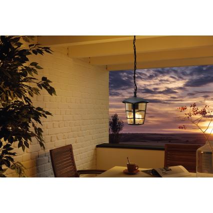 Eglo - LED Outdoor chandelier 1xE27/8,5W/230V IP44