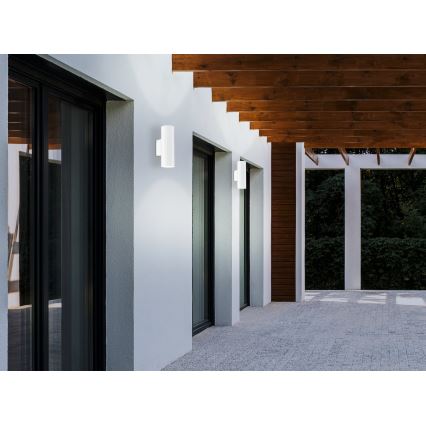 Eglo - LED Outdoor lighting 2xGU10/3W/230V IP44