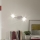 Eglo 94163 - LED spotlight ERVAS 2xLED/3.3W/230V