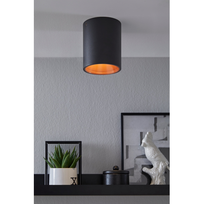 Eglo - LED ceiling light 1xLED/3.3W/230V