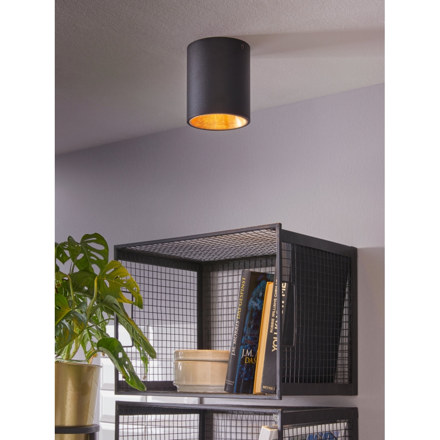 Eglo - LED ceiling light 1xLED/3.3W/230V