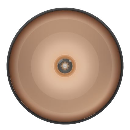 Eglo - Ceiling light 1xE27/60W/230V