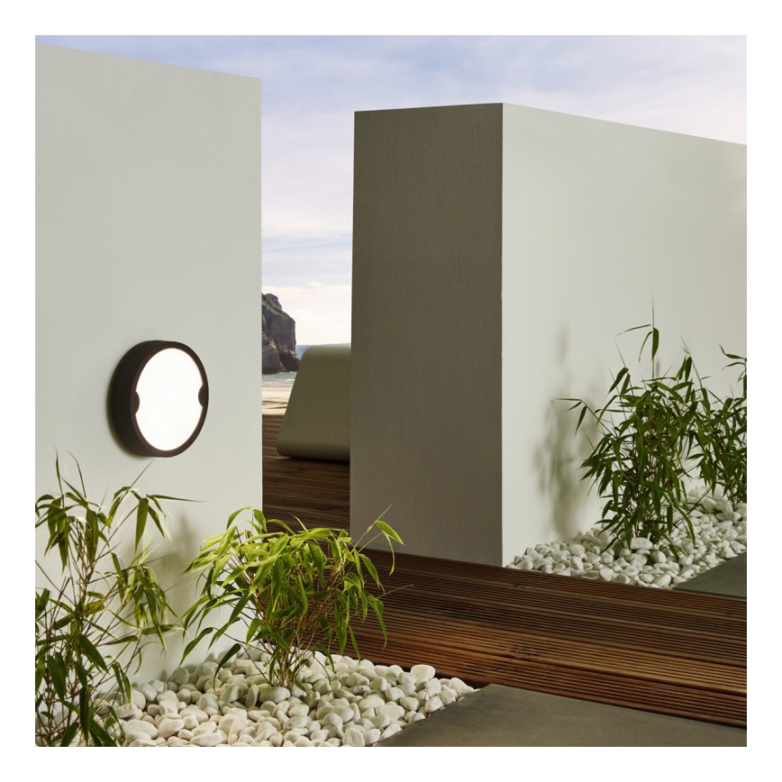 Eglo 95084 - Outdoor wall light ALFENA-R LED/10W/230V IP44