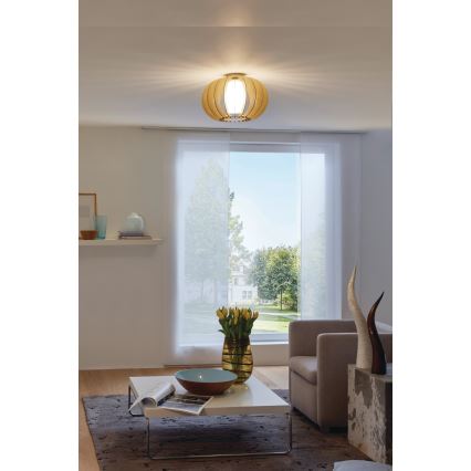Eglo - Ceiling light 1xE27/60W/230V