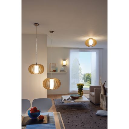 Eglo - Ceiling light 1xE27/60W/230V