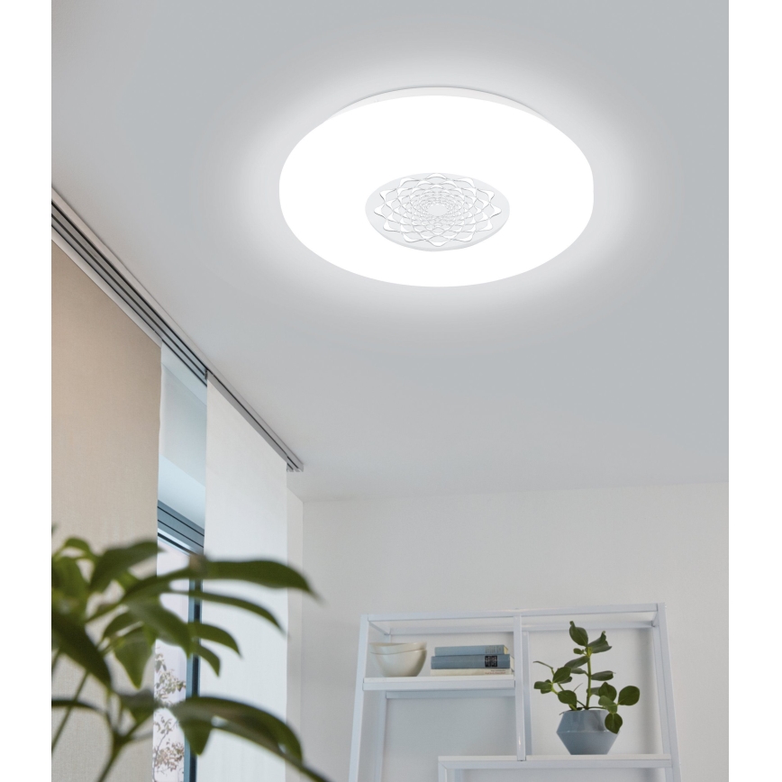 Eglo - LED ceiling light LED/24W/230V