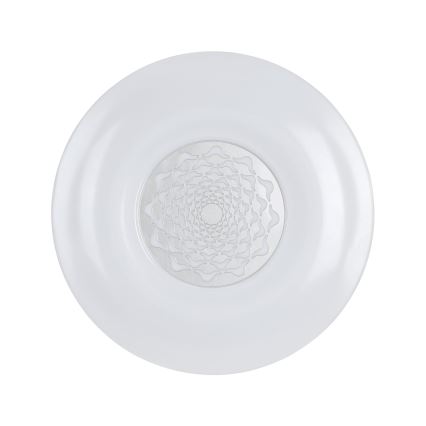 Eglo - LED ceiling light LED/24W/230V