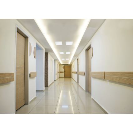 Eglo - LED ceiling panel LED/16W/230V