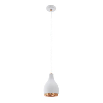 Eglo 96871 - Pendant light COCNO 1xE27/60W/230V white