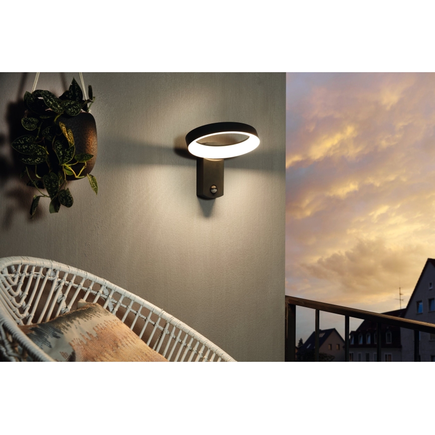 Eglo - LED Outdoor wall light with a sensor LED/11W/230V IP44
