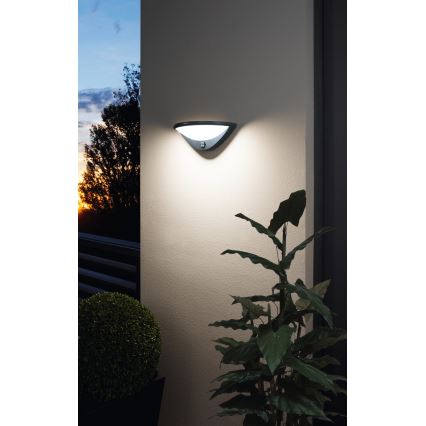 Eglo 97312 - LED Outdoor wall light with a sensor BELCREDA LED/9,3W/230V IP44