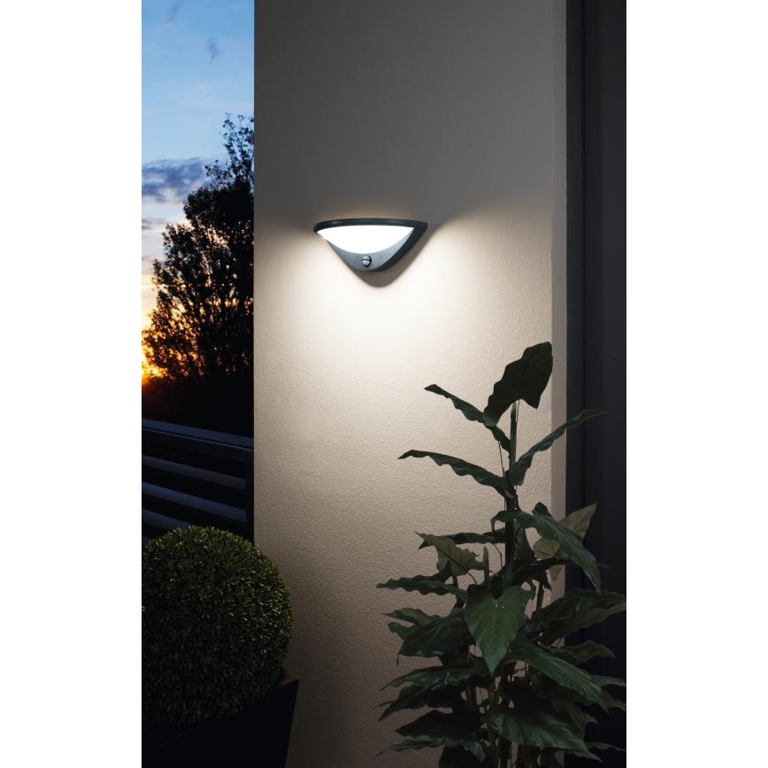 Eglo 97312 - LED Outdoor wall light with a sensor BELCREDA LED/9,3W/230V IP44