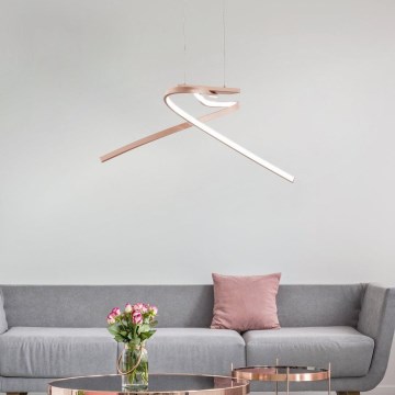 Eglo 97362 - LED chandelier on a string PALOZZA 2xLED/11W/230V