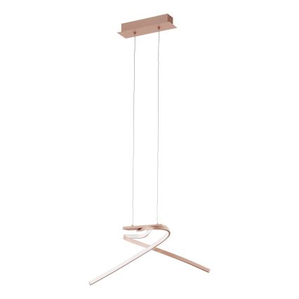 Eglo 97362 - LED chandelier on a string PALOZZA 2xLED/11W/230V