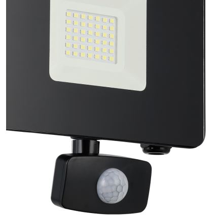 Eglo - LED Floodlight with a sensor LED/30W/230V IP44
