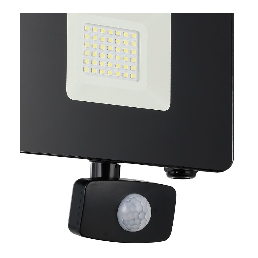 Eglo - LED Floodlight with a sensor LED/30W/230V IP44