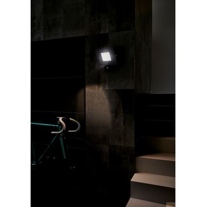 Eglo - LED Flood light with sensor LED/50W/230V IP44