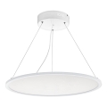 Eglo 97505 - SARSINA LED Cable-Suspended Dimmable Pendant Light LED/36W/230V