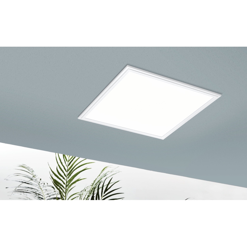 Eglo - LED RGB Dimmable light SALOBRENA-C 1xLED/24W/230V + remote control