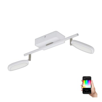 Eglo 97692 - LED RGB Spotlight PALOMBARE-C 2xLED/5W/230V