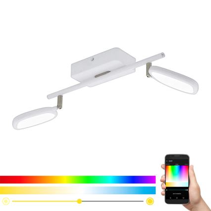 Eglo 97692 - LED RGB Spotlight PALOMBARE-C 2xLED/5W/230V